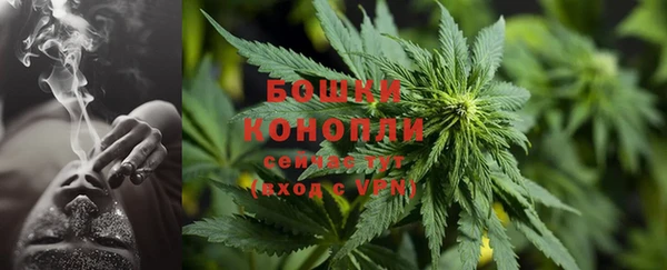 крисы Нефтекумск