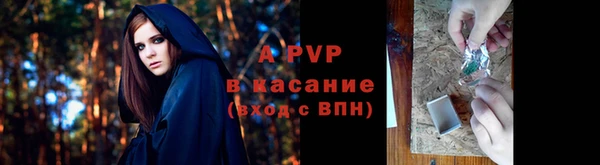 соль ск Нея