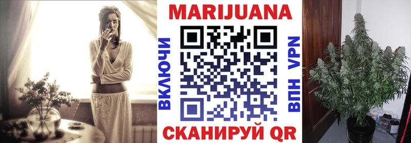 купить закладку  Павлово  Канабис сатива 